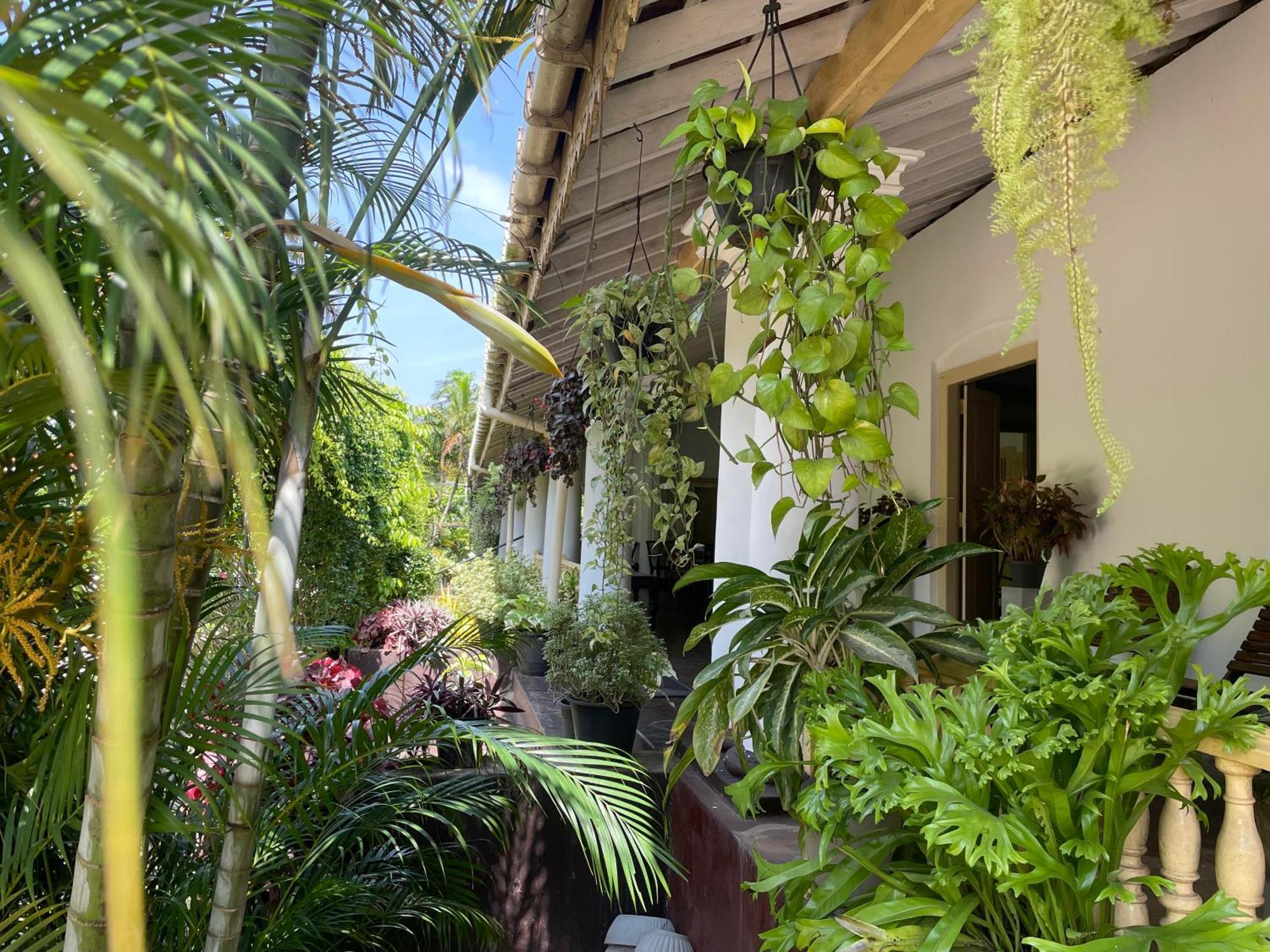 No.53 Apartment Katunayake Exterior photo